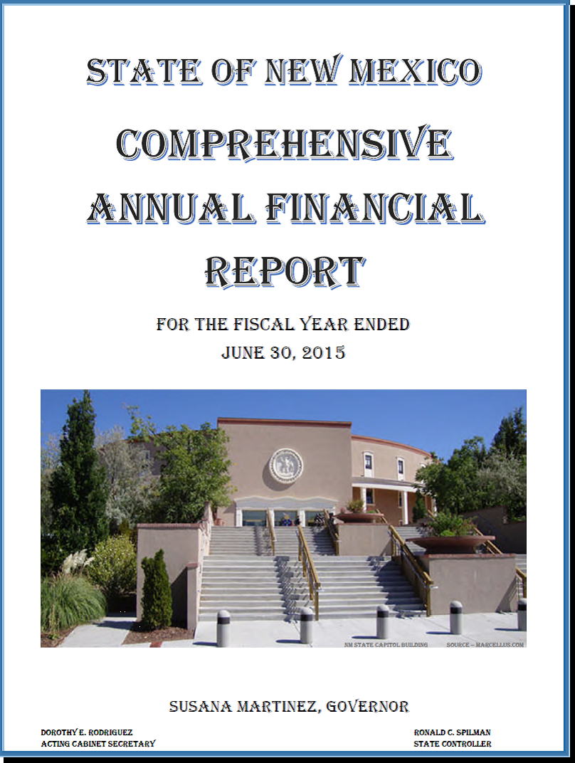 2015 CAFR report Image